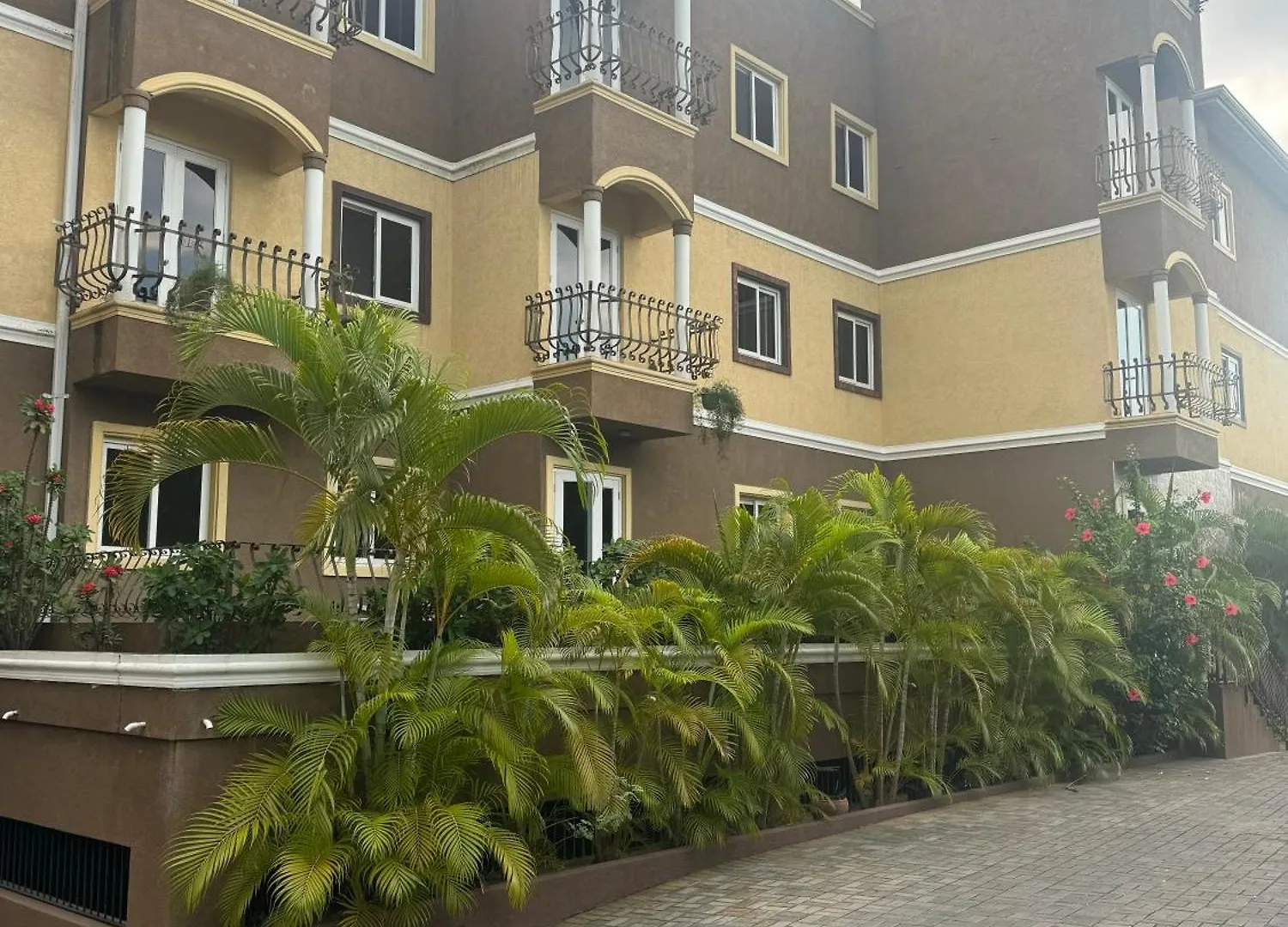 Modern Loft In Kingston Jamaica Appartement Jamaica